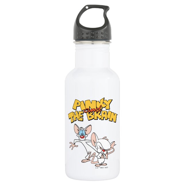 Pinky and the Brain | Show Logo Stainless Steel Water Bottle (Front)