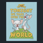 Pinky and the Brain | Take Over The World Faux Canvas Print<br><div class="desc">Check out this fun Pinky and the Brain graphic with the iconic line "Tonight we take over the world".</div>