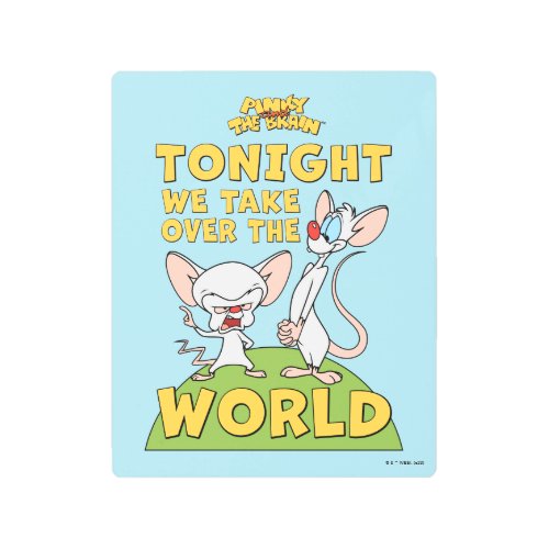 Pinky and the Brain  Take Over The World Metal Print