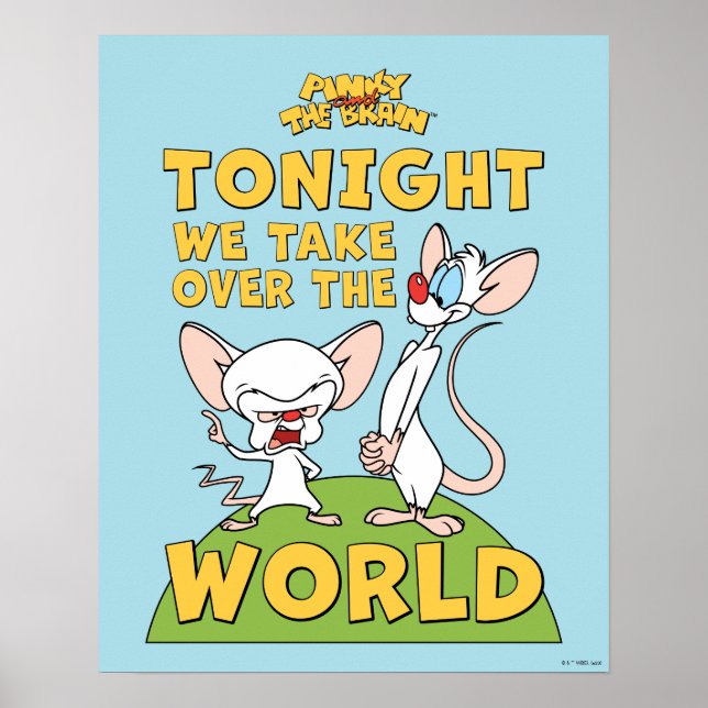 Pinky and the Brain | Take Over The World Poster (Front)