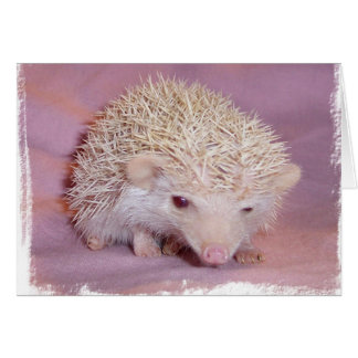 Pinky the Hedgehog Cards