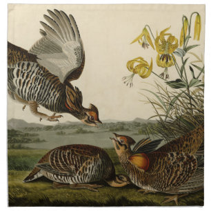 Pinnated Grouse (Grous) Audubon's Birds of America Cloth Napkin