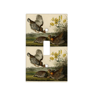 Pinnated Grouse (Grous) Audubon's Birds of America Light Switch Cover
