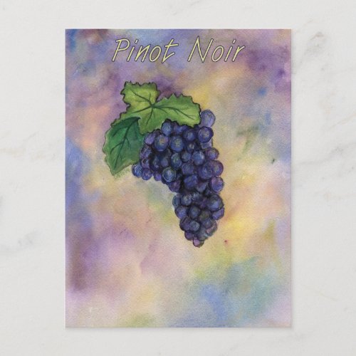 Pinot Noir Wine Grapes Art Postcard