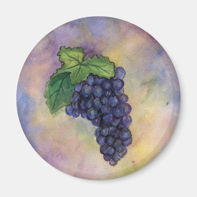 Pinot Noir Wine Grapes Magnet (Front)