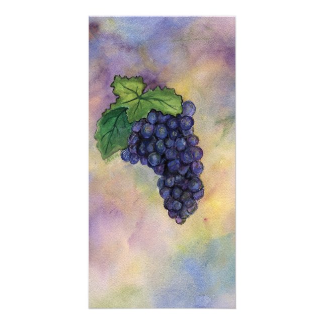 Pinot Noir Wine Grapes Photo Card (Front)