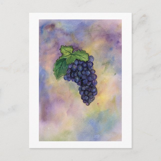 Pinot Noir Wine Grapes Postcard (Front)