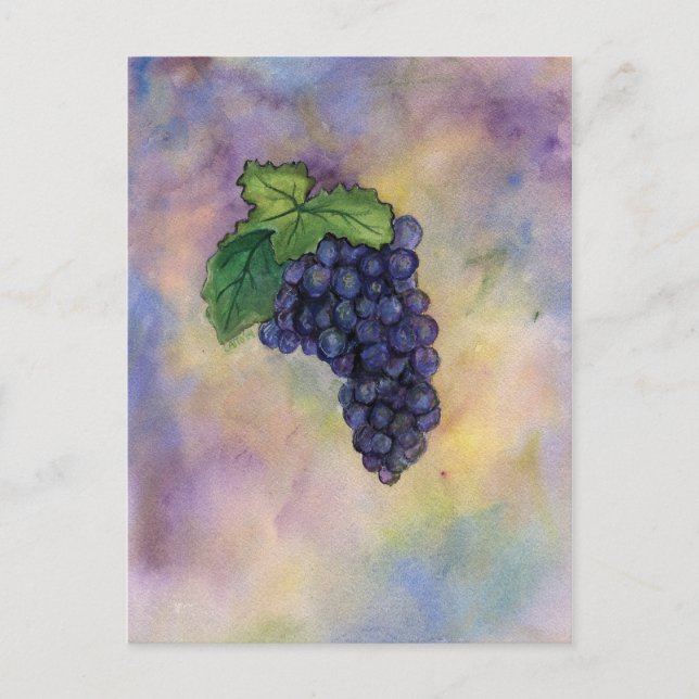 Pinot Noir Wine Grapes Postcard (Front)