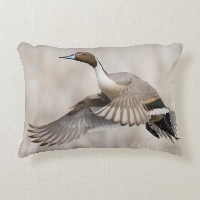 Pintail Drake Taking Flight Decorative Pillow (Front)