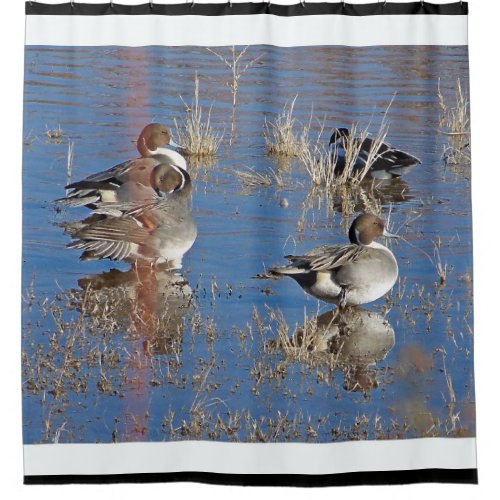 Pintail Duck Birds Wildlife Animal Pond Shower Curtain