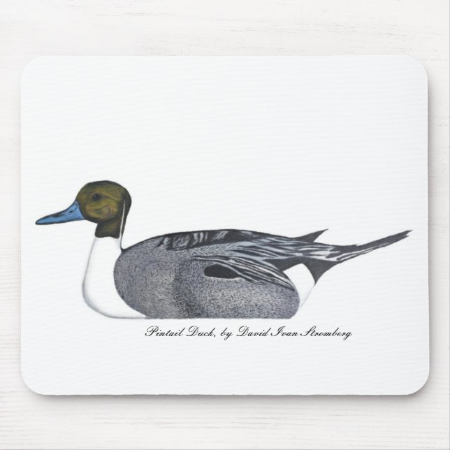Pintail Duck by David Ivan Stromberg Mouse Pad (Front)