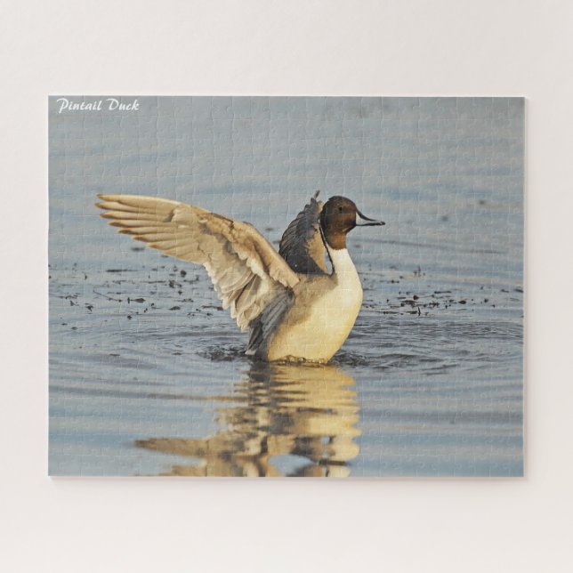 Pintail Duck Jigsaw Puzzle (Horizontal)