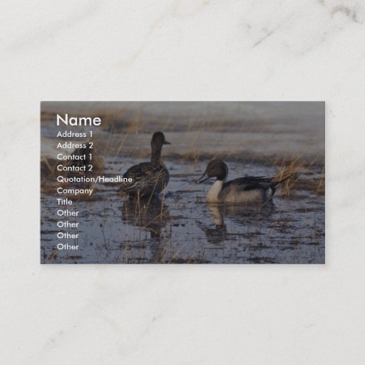 Customizable Pintail Duck Pair Business Cards