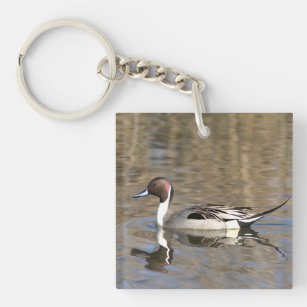 Pintail Duck Swims In A Pond Keychain