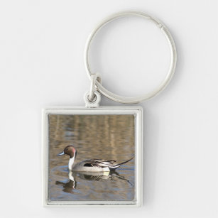 Pintail Duck Swims In A Pond Keychain