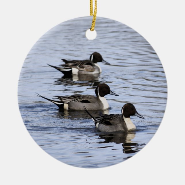 Pintail Duck Trio Ornament (Front)