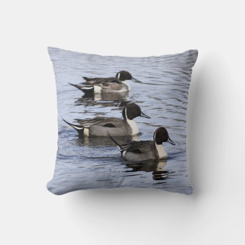 Pintail Duck Trio Pillow