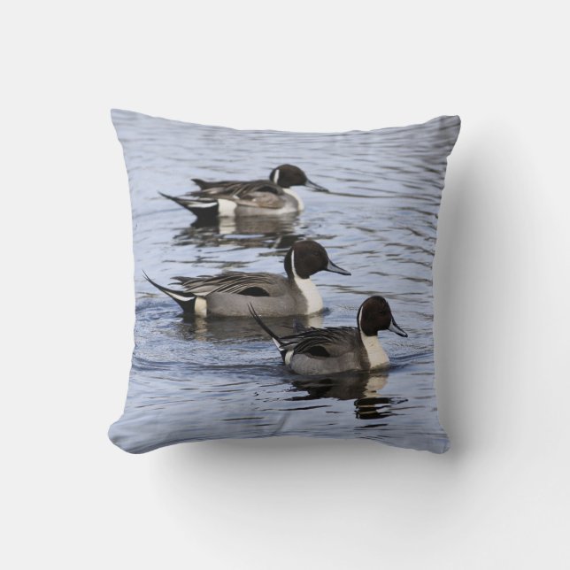 Pintail Duck Trio Pillow (Front)