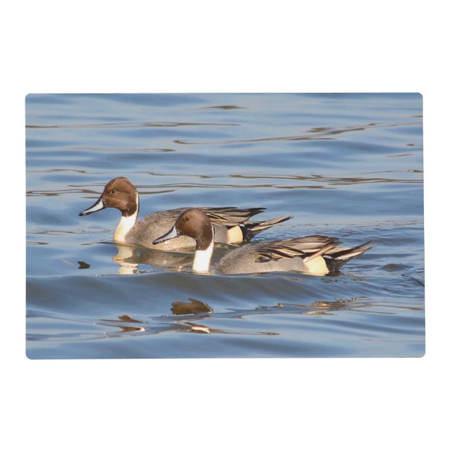 Pintail Ducks Laminated Placemat (Front)