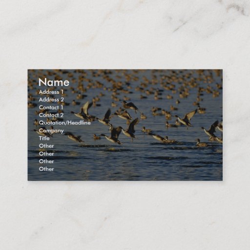 Customizable Pintails Business Cards