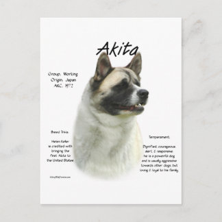 Pinto Akita History Postcard