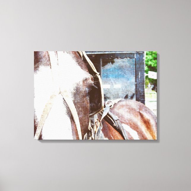 Pinto Amish Buggy Horse Canvas Print (Front)