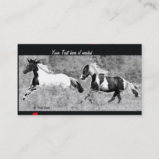 Customizable Pinto Bussiness Cards Business Cards