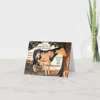 Pinto Deaf Horse Chiaro Card