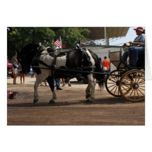 Pinto Draft Horse 2018 Mt. Pleasant, Iowa Cards
