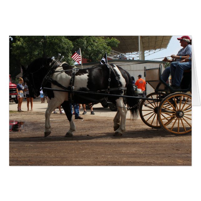 Pinto Draft Horse 2018 Mt. Pleasant, Iowa Cards (Front Horizontal)