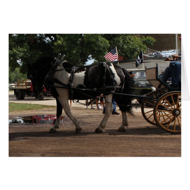 Pinto Draft Horse Cards (Front Horizontal)