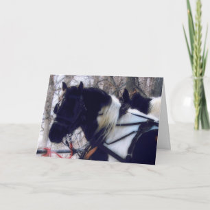 Pinto Draft Horse Team, Christmas Holiday Card