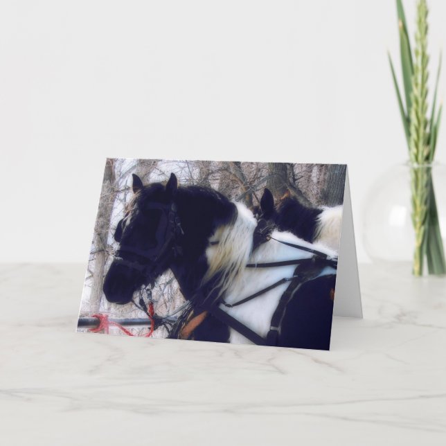 Pinto Draft Horses Birthday Card (Front)