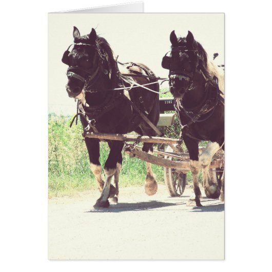 Pinto Drafts at Work Vintage Effect Cards (Front)