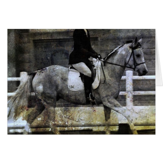 Pinto Dressage Horse Cards (Front Horizontal)