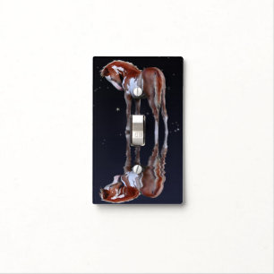 Pinto Filly Ranch Horse & Stars - Equine Photo Light Switch Cover