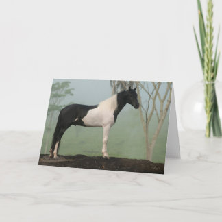 Pinto Horse Card