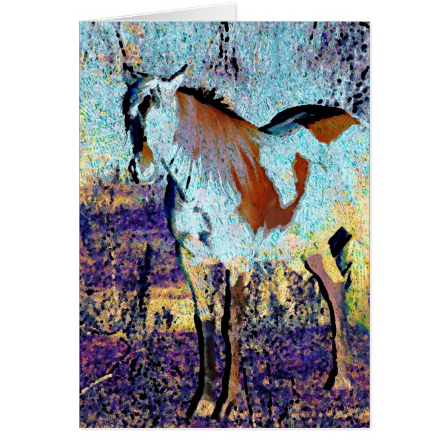 Pinto Horse Digital Art Cards (Front)