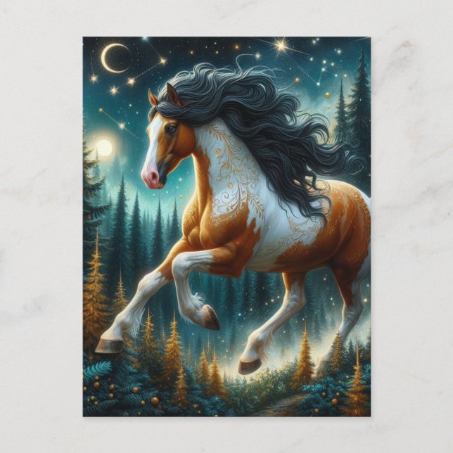Pinto Horse in Magical Night Forest Postcard (Front)