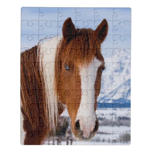 Pinto Horse Mount Moran in Winter Jigsaw Puzzle