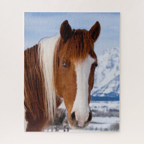 Pinto Horse Mount Moran in Winter Jigsaw Puzzle