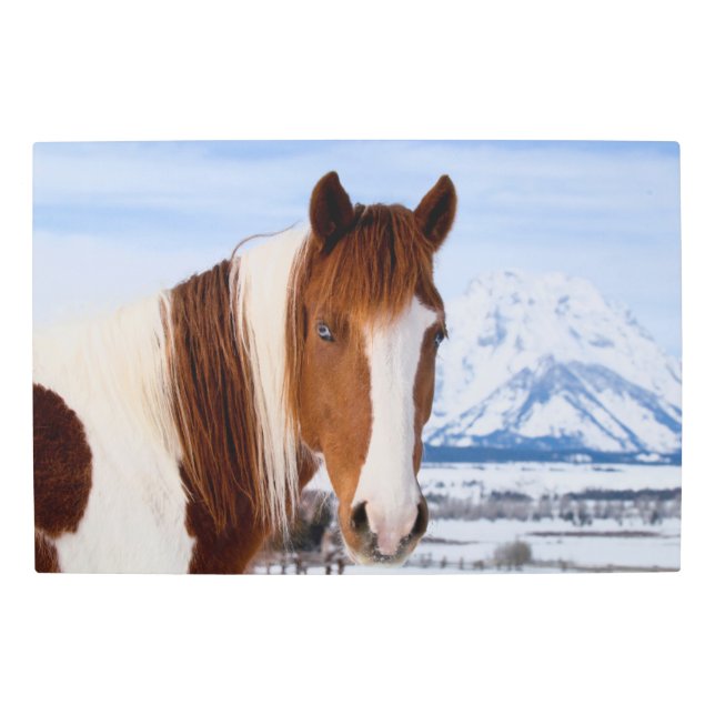 Pinto Horse Mount Moran in Winter Metal Print (Front)