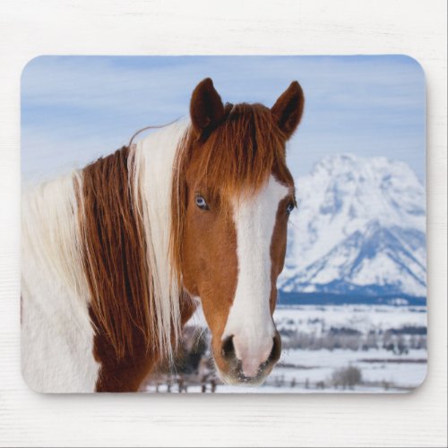 Pinto Horse Mount Moran in Winter Mouse Pad