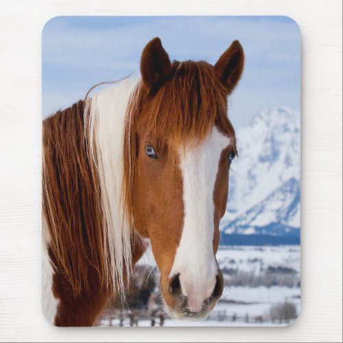 Pinto Horse Mount Moran in Winter Mouse Pad