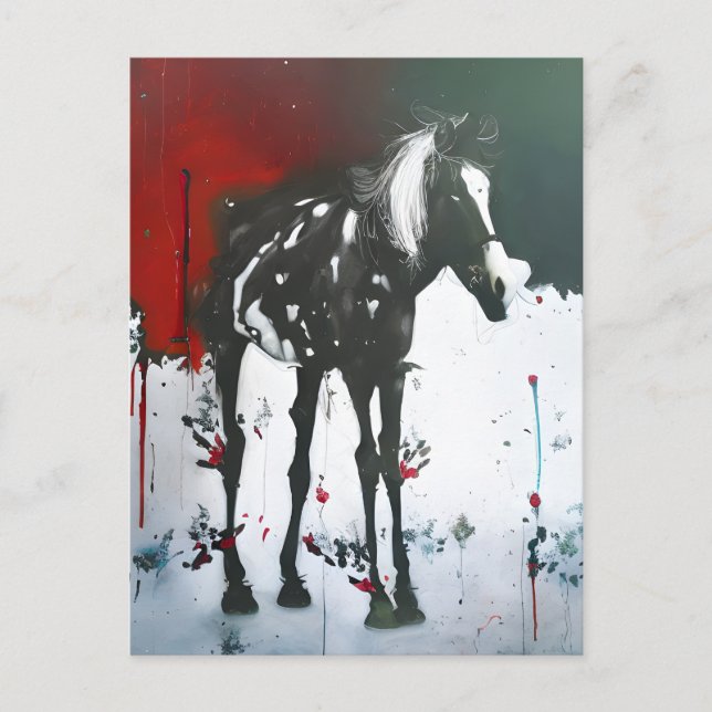 Pinto Horse Postcard (Front)
