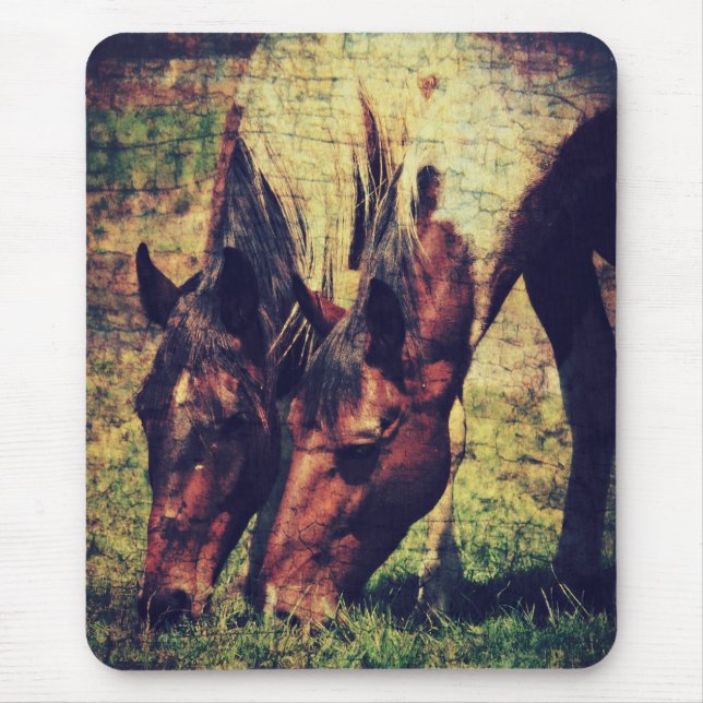 Pinto Horses Mouse Pad (Front)