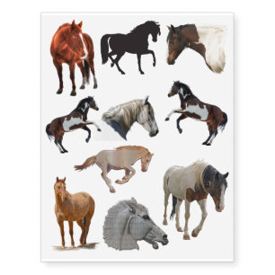 Pinto Horses, Stallions & Mares for Horse-lovers Temporary Tattoos