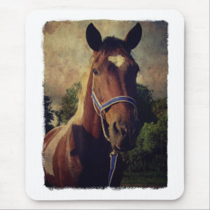 Pinto Mouse Pad