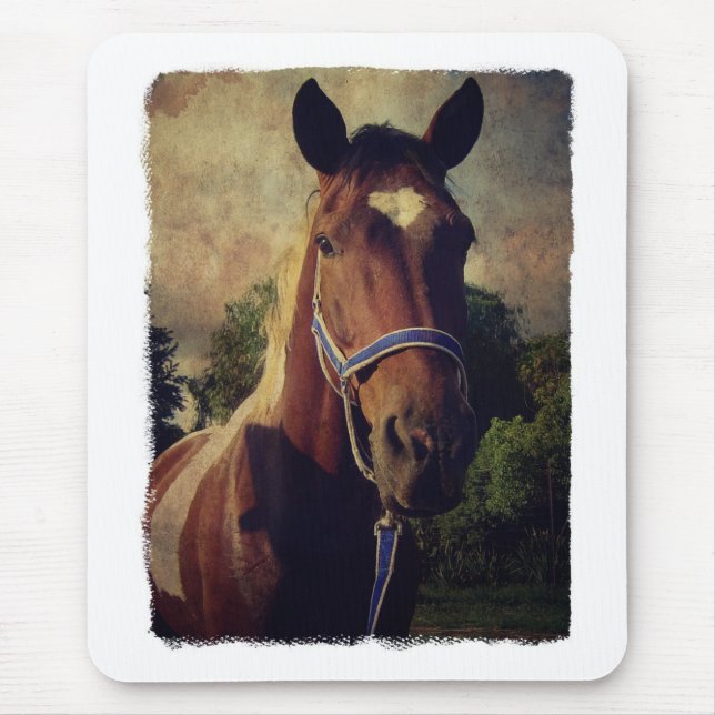 Pinto Mouse Pad (Front)