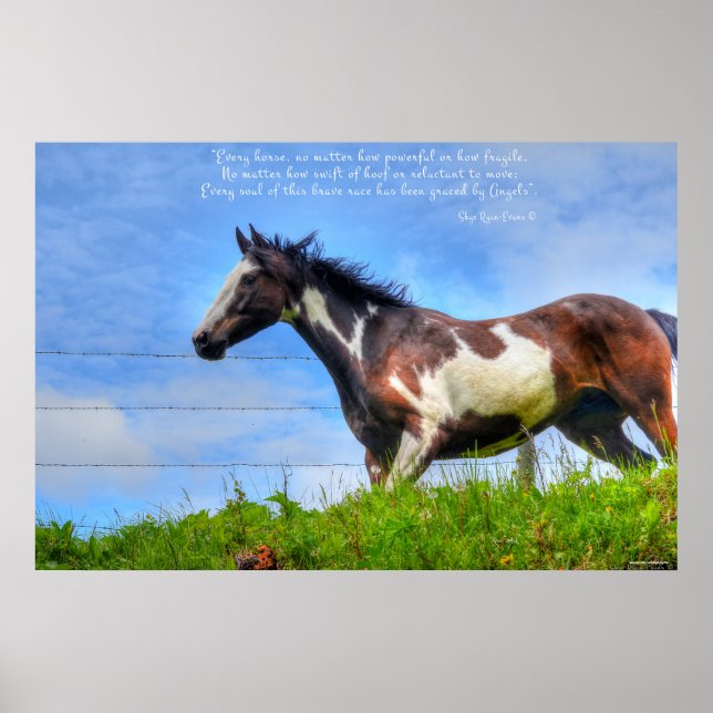 Pinto Paint & Clouds Ranch Horse w Poem Photo Poster (Front)